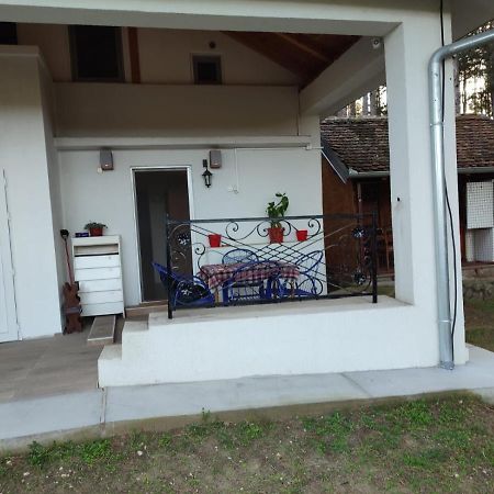 Kuca Za Odmor "Crni Bor" Apartman Galambóc Kültér fotó