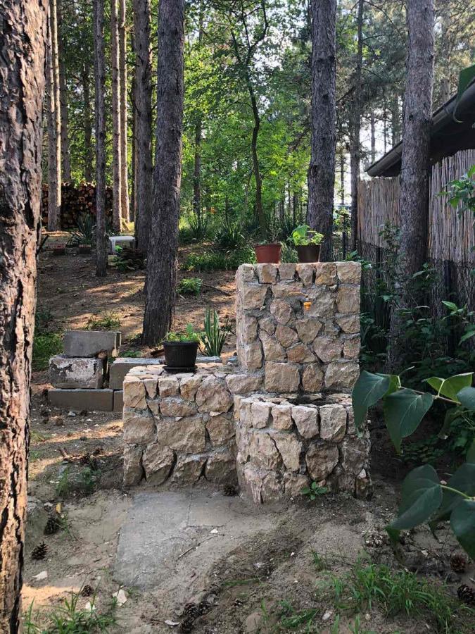 Kuca Za Odmor "Crni Bor" Apartman Galambóc Kültér fotó
