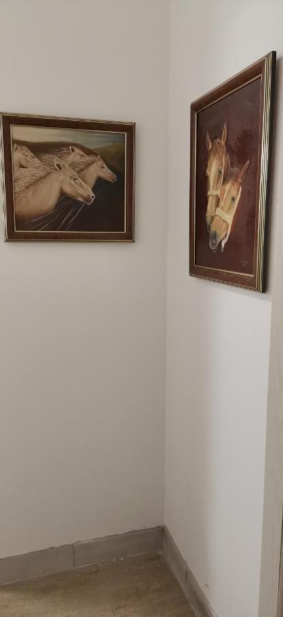 Kuca Za Odmor "Crni Bor" Apartman Galambóc Szoba fotó