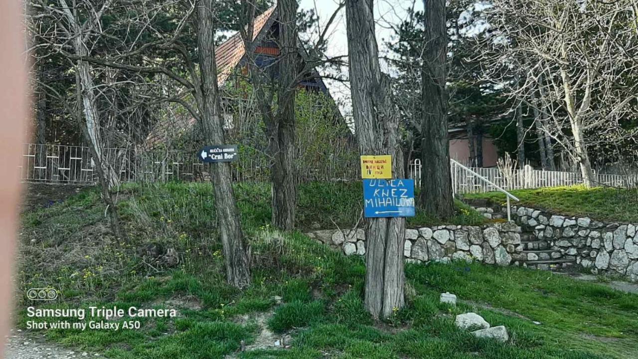Kuca Za Odmor "Crni Bor" Apartman Galambóc Kültér fotó