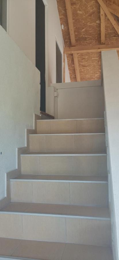 Kuca Za Odmor "Crni Bor" Apartman Galambóc Kültér fotó