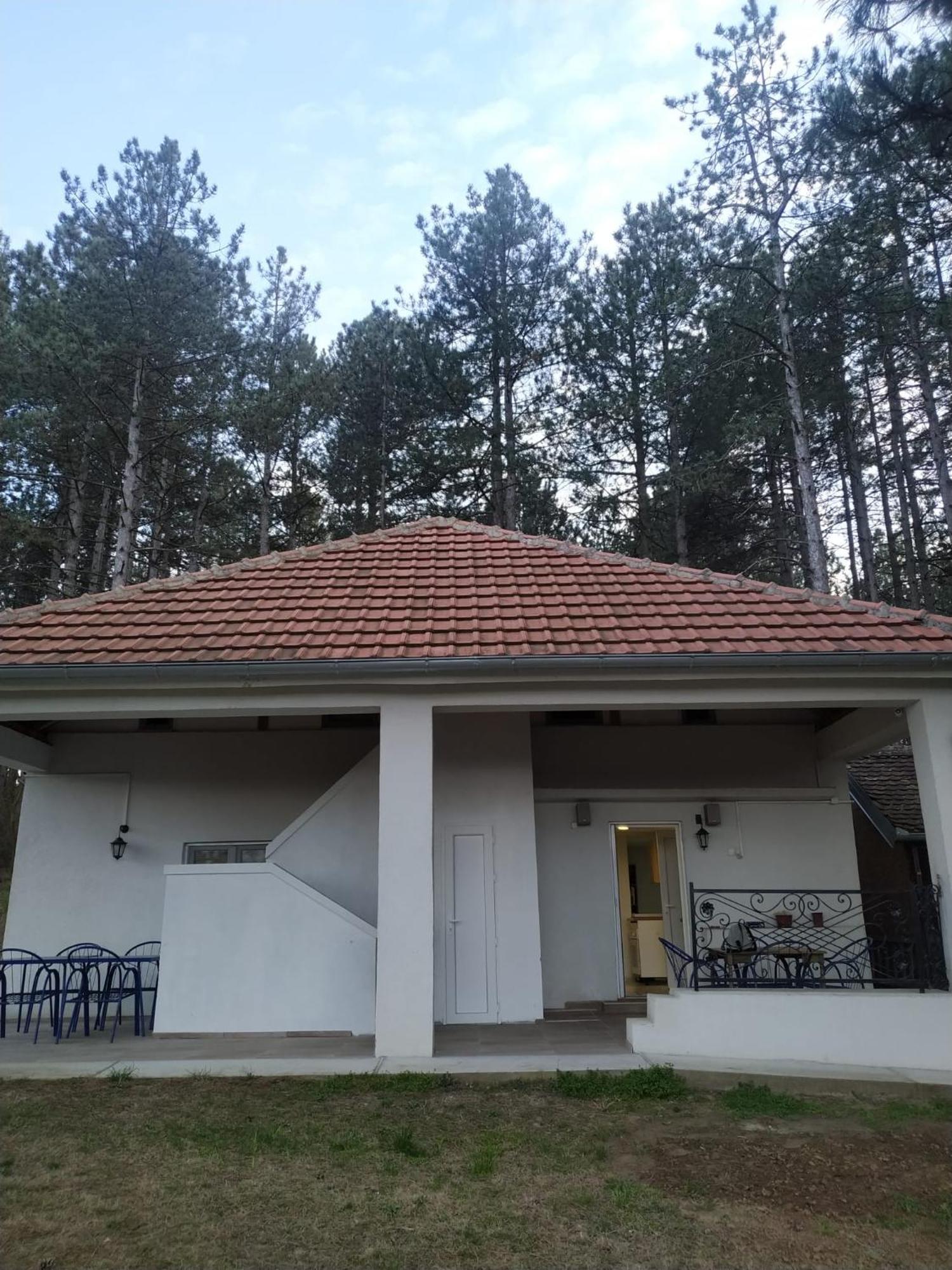 Kuca Za Odmor "Crni Bor" Apartman Galambóc Kültér fotó