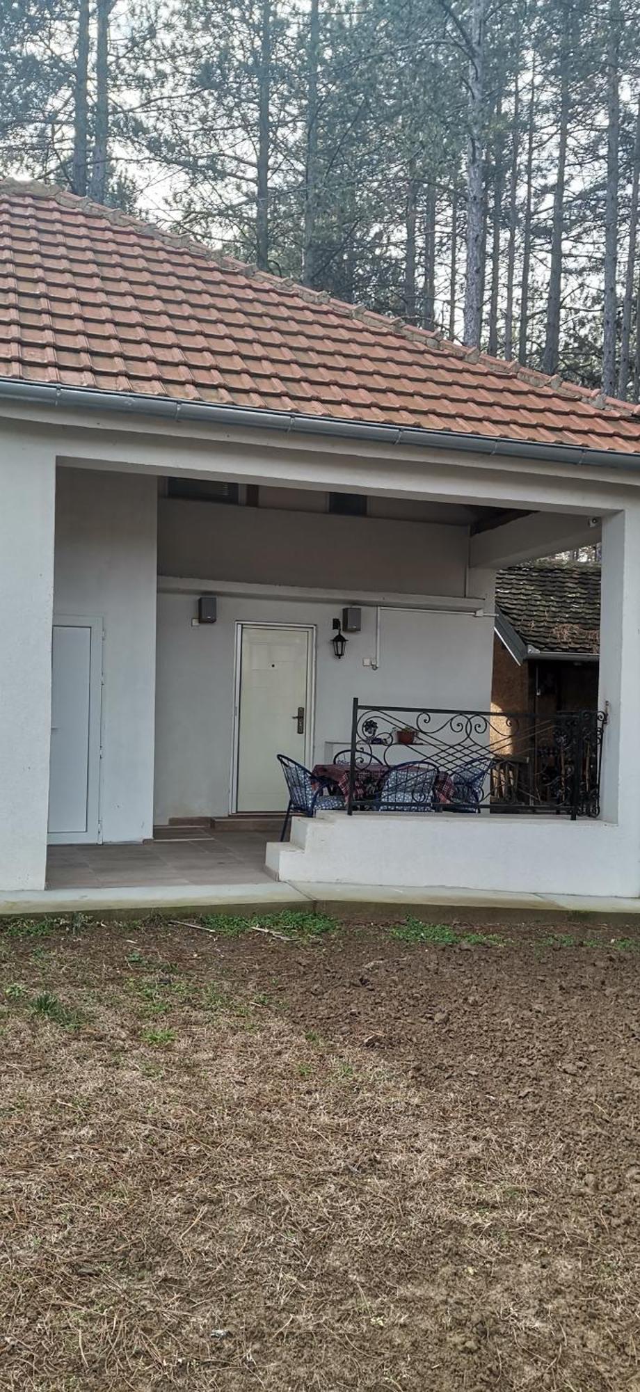 Kuca Za Odmor "Crni Bor" Apartman Galambóc Kültér fotó